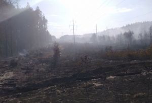 Пожар в пензенском поселке Победа тушат уже три дня