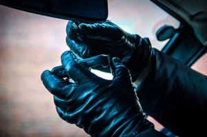 В Волчьем поселке Пензенской области обокрали жителя Мордовии