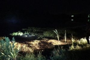 Следком опубликовал фотографии с озера в Пензенской области, где утонул мужчина
