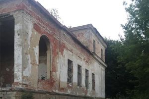 Делу по факту халатности: за травмирование подростка в усадьбе Воейкова могут привлечь чиновников