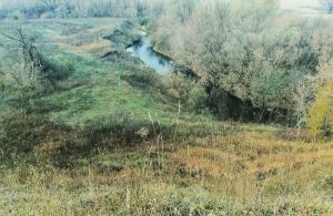 На реке около поселка Ардымский в Пензенском районе утонул мужчина