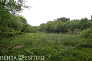 Пензенцев научат искать потерявшихся в лесу людей