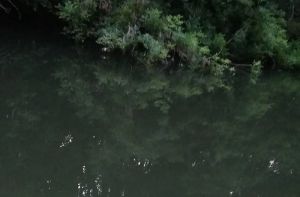 Опубликованы фото с места смерти мужчины у реки в Пензенском районе