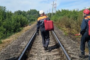 В пензенском ППСЦ рассказали о тушении лесополосы вдоль железной дороги