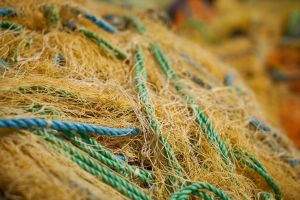 Пензенец наловил рыбы на уголовное дело
