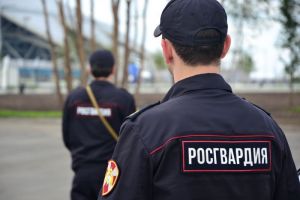 Свидетелями ДТП со сбитым пешеходом в микрорайоне Арбеково стали пензенские росгвардейцы