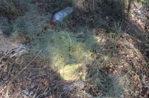 В Пензе неизвестные разлили вещество желтого цвета с резким запахом