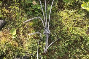 Появились фото с места гибели электромонтера в Пензенской области