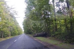 На дороге под Пензой перевернулся легковой автомобиль