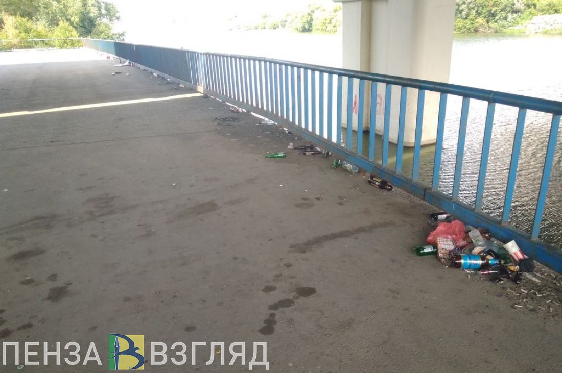 Пензенцы возмущены беспорядком на территории под Измайловским путепроводом