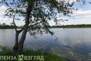 В пензенском МЧС рассказали подробности гибели женщины на воде