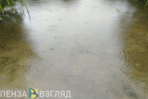 Названа причина смерти женщины на воде в Кузнецком районе Пензенской области