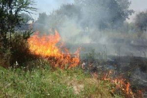 В селе под Пензой произошел пожар на площади 500 квадратных метров
