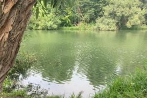 В Пензе прохожие обнаружили в реке тело мужчины