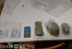 В лесополосе под Пензой мужчина оборудовал тайники с наркотиками