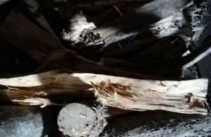 В Пензенской области мужчина убил поленом старшего брата