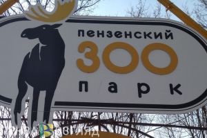Пензенцы впервые смогут побывать в зоопарке ночью