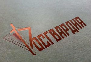 В Пензе росгвардейцы вернули домой потерявшуюся женщину