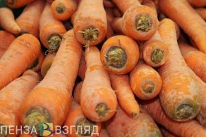 В Пензенской области самые дешевые овощи, молоко и рыба
