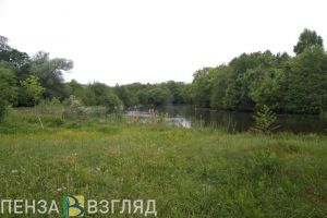 Стало известно, где нашли тело погибшего жителя Пензенской области