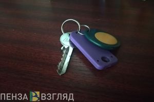 Житель Пензы изготовил дубликат ключей и обокрал дом чемодановца