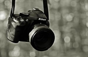 У жительницы Бессоновки украли фотоаппарат и телефон