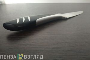 Житель Пензенской области угрожал сожительнице ножом и убил ее мать
