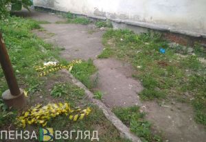 Появились фото с места жестокого убийства на улице Крупской в Пензе