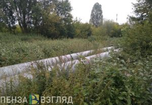 Опубликовано шокирующее фото транспортировки найденного мертвым пензенца