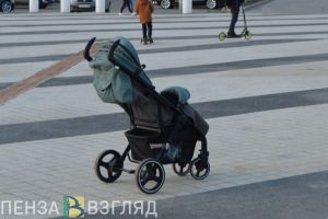 Пензячка заплатила 17 тысяч рублей за несуществующую коляску