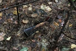 В Пензенской области в лесу нашли скелет