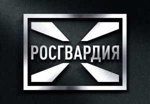 В Пензе росгвардейцы за три минуты задержали агрессора, напавшего на мужчину