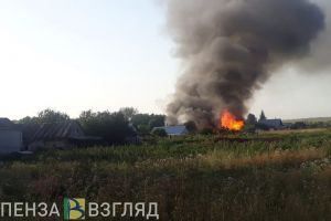 В селе Трофимовка Пензенской области произошел пожар
