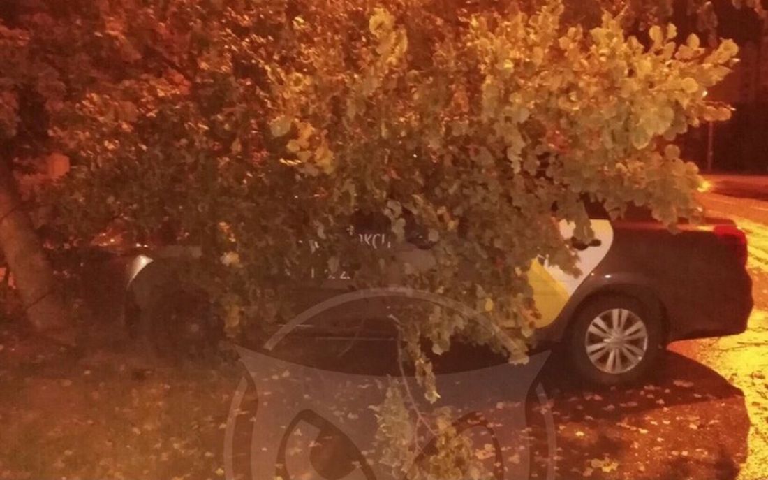 Ночью в Пензе автомобиль «Яндекс Такси» врезался в дерево. Фото