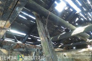 Крупный пожар в Трофимовке Пензенской области тушили 16 спасателей