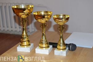 Победа педагогов на всероссийском конкурсе, инцидент в детском лагере и похолодание - новости Пензы за 27 августа