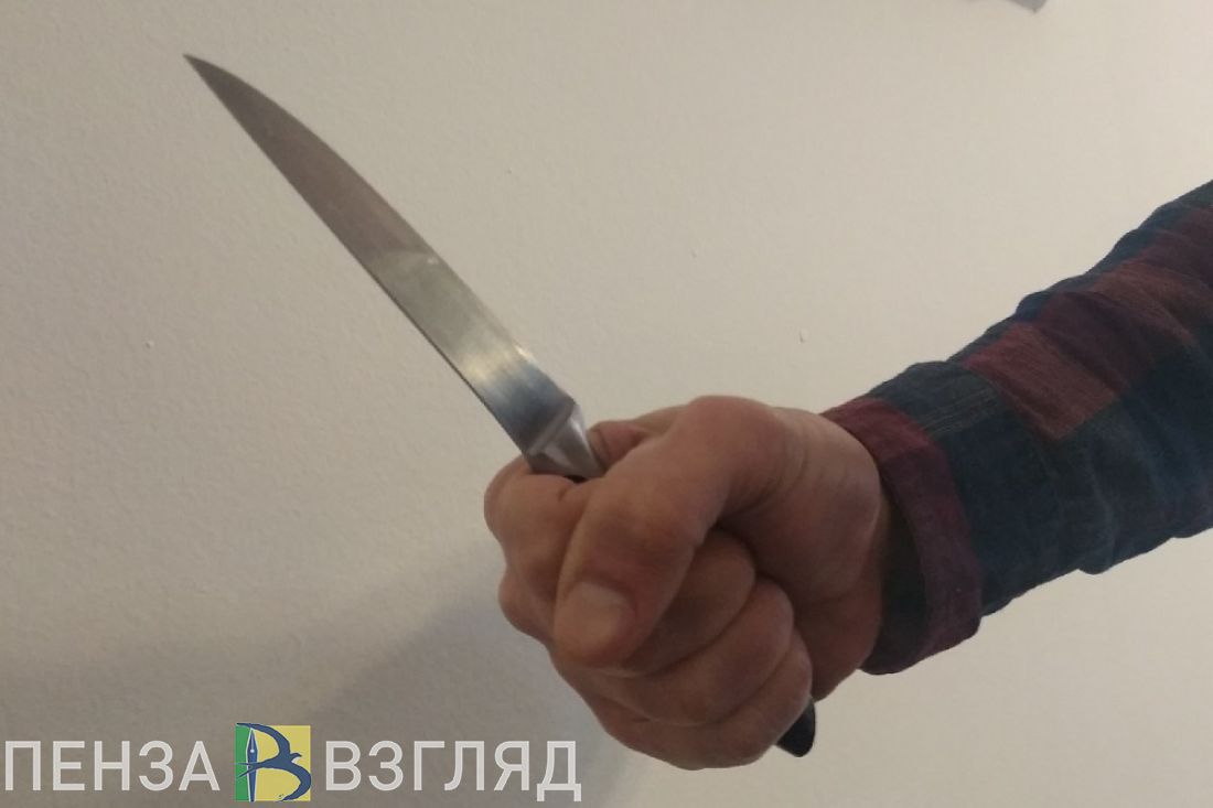 В Пензенской области вступил в силу приговор лунинскому пенсионеру за убийство