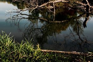 Установлена личность утонувшего в Пензе мужчины