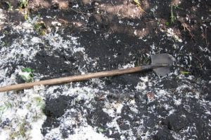Увидел человеческую руку. Пензячка убила знакомого и закопала тело