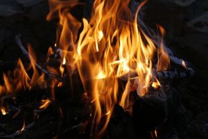 Три человека тушили дом в селе под Пензой