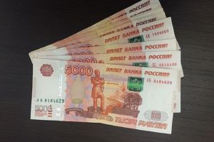 Пензенская фирма задолжала государству более 60 миллионов рублей