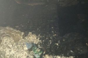 Появились фото с места смертельного пожара на улице Ладожской в Пензе