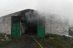 В Пензенской области при пожаре в сторожке погиб мужчина. Фото