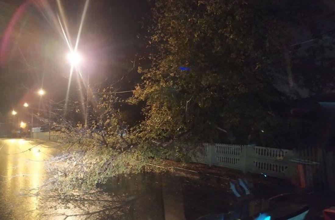 В Пензе упавшее дерево заблокировало две полосы проезжей части