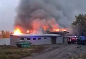 В сети появилось видео крупного пожара в пензенской Богословке