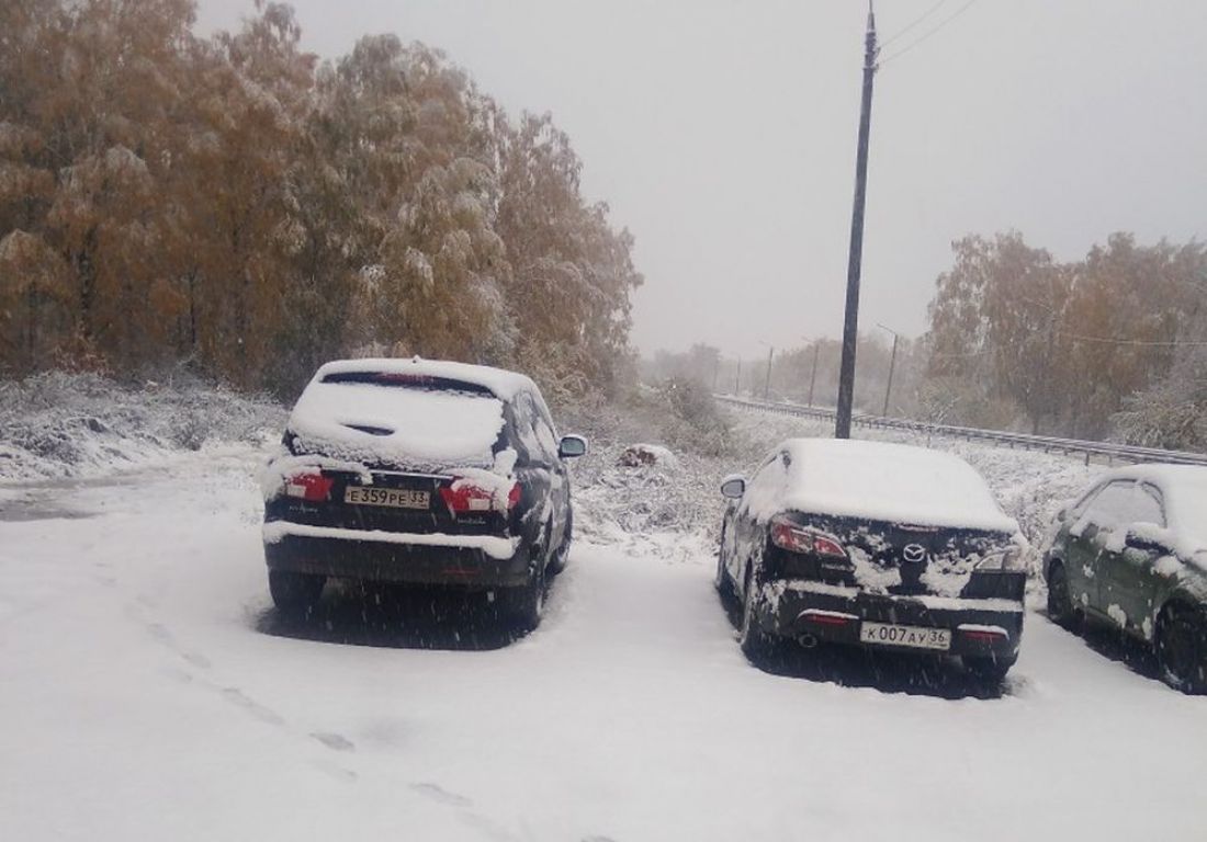 Пензенцы ждут снега в ближайшие дни