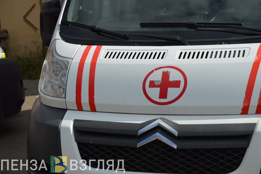 В Пензенской области в вылетевшей в кювет легковушке погиб водитель