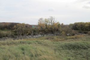 Тело пенсионерки в Малосердобинском районе нашли в водоеме. Фото