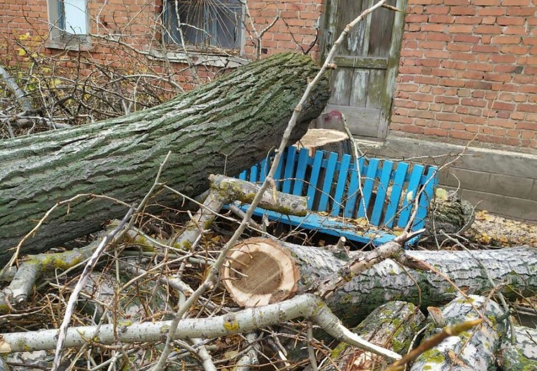 Спилить упавшее дерево