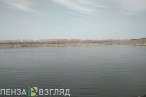 Убийство хозяина пруда, тело в коллекторе и отключение света: новости Пензенской области за 14 октября